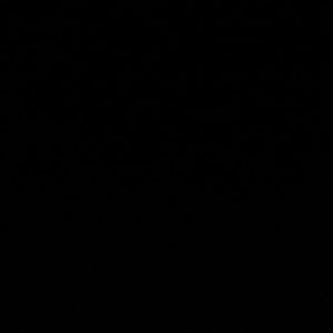 Meet your Posher, Carmen